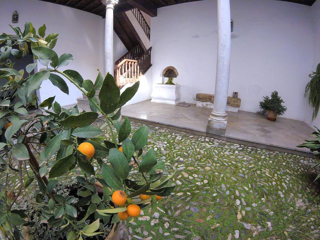 Horno De La Merced Maison d'hôtes Grenade